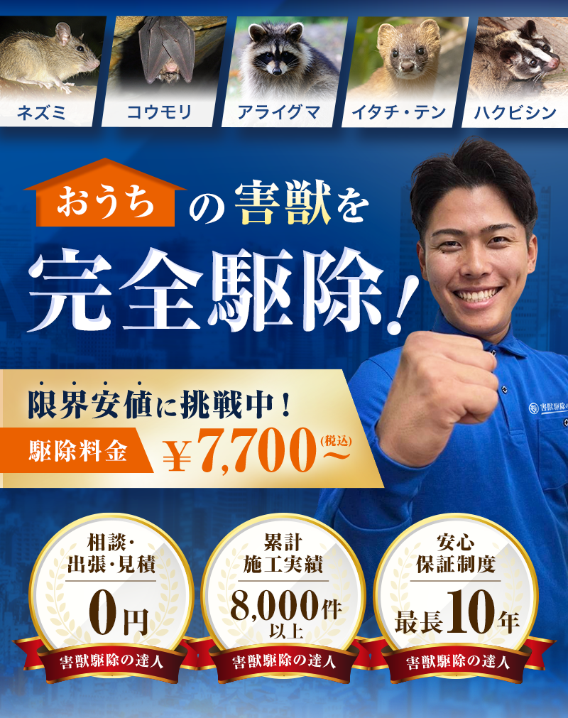 おうちの害獣を完全駆除！限界安値に挑戦中！駆除料金7,000円(税込)～。相談・出張・見積０円、累計施工実績8,000件以上、安心保証制度最長10年