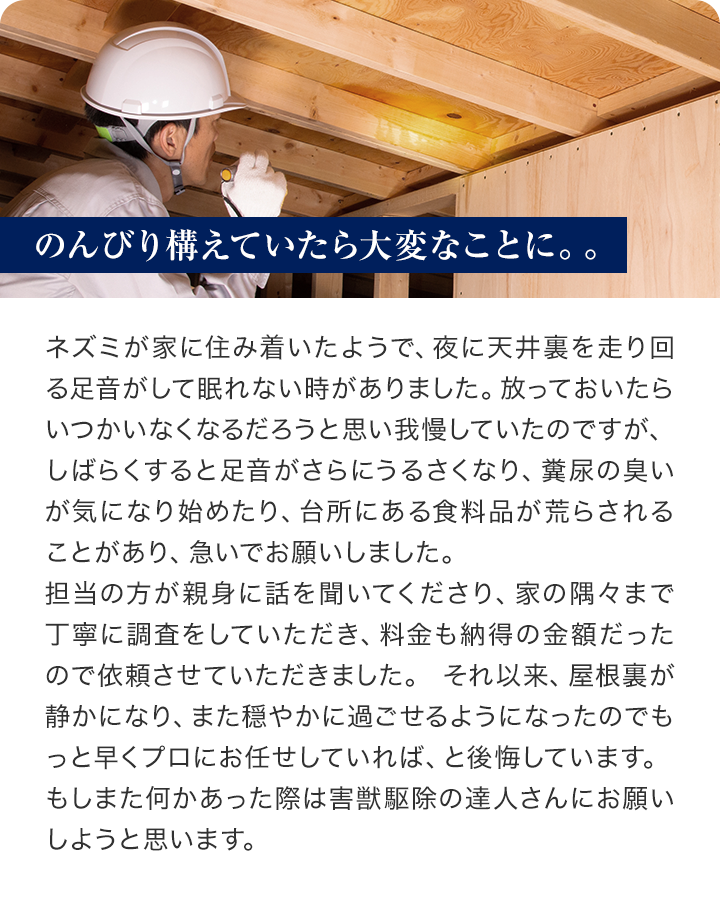 ネズミが家に住み着いたようで、夜に天井裏を走り回る足音がして眠れない時がありました。放っておいたらいつかいなくなるだろうと思い我慢していたのですが、しばらくすると足音がさらにうるさくなり、糞尿の臭いが気になり始めたり、台所にある食料品が荒らされることがあり、急いでお願いしました。
担当の方が親身に話を聞いてくださり、家の隅々まで丁寧に調査をしていただき、料金も納得の金額だったので依頼させていただきました。それ以来、屋根裏が静かになり、また穏やかに過ごせるようになったのでもっと早くプロにお任せしていれば、と後悔しています。
もしまた何かあった際は害獣駆除の達人さんにお願いしようと思います。