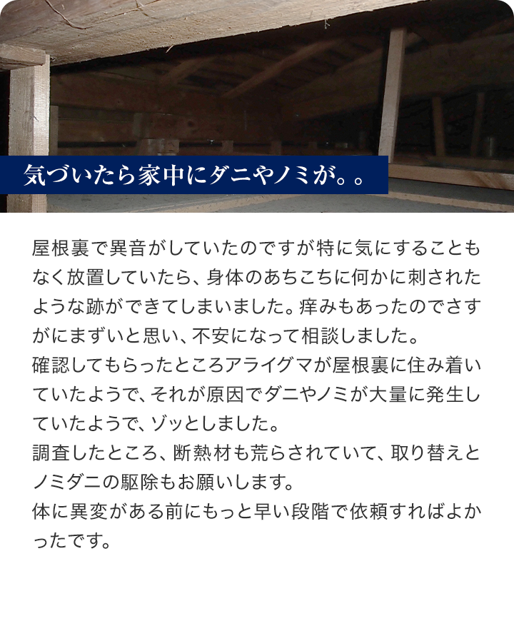 屋根裏で異音がしていたのですが特に気にすることもなく放置していたら、身体のあちこちに何かに刺されたような跡ができてしまいました。痒みもあったのでさすがにまずいと思い、不安になって相談しました。
確認してもらったところアライグマが屋根裏に住み着いていたようで、それが原因でダニやノミが大量に発生していたようで、ゾッとしました。
調査したところ、断熱材も荒らされていて、取り替えとノミダニの駆除もお願いします。
体に異変がある前にもっと早い段階で依頼すればよかったです。
