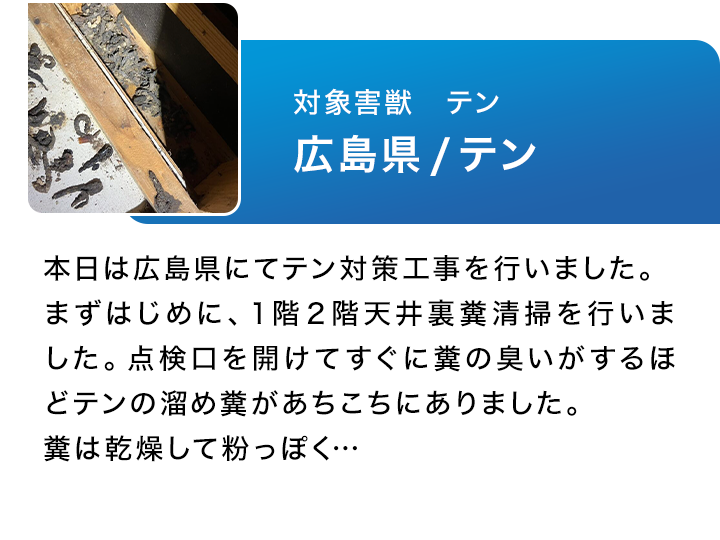 対象害獣：テン　広島県/テン　本日は広島県にてテン対策工事を行いました。まずはじめに、１階２階天井裏糞清掃を行いました。点検口を開けてすぐに糞の臭いがするほどテンの溜め糞があちこちにありました。糞は乾燥して粉っぽく…