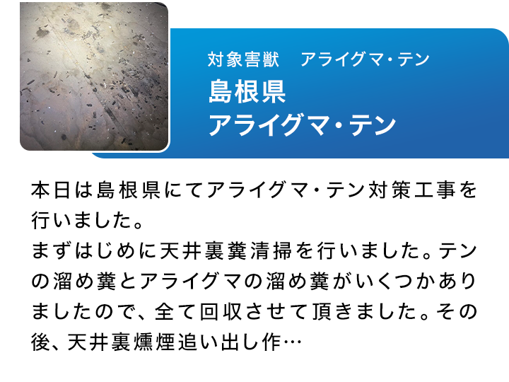 対象害獣　アライグマ・テン　島根県アライグマ・テン　本日は島根県にてアライグマ・テン対策工事を行いました。
まずはじめに天井裏糞清掃を行いました。テンの溜め糞とアライグマの溜め糞がいくつかありましたので、全て回収させて頂きました。その後、天井裏燻煙追い出し作…