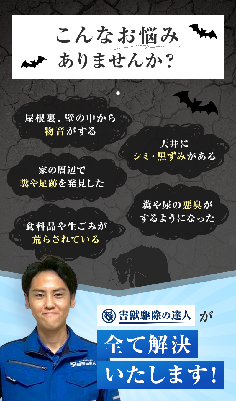 こんなお悩みありませんか？・屋根裏、壁の中から物音がする　天井にシミ・黒ずみがある　家の周辺で糞や足跡を発見した　糞や尿の悪臭がするようになった　食料品や生ごみが荒らされている　害獣駆除の達人が全て解決いたします！